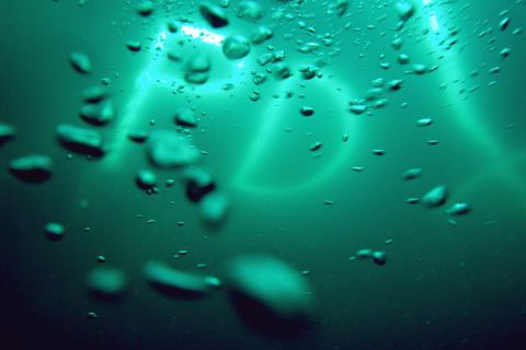 Nauka Nurkowania Podlodowego