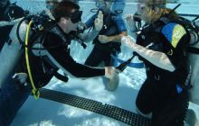 Podstawowy kurs nurkowy Open Water Diver