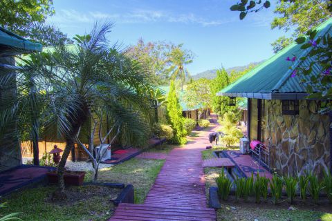 Wyjazd nurkowy do Indonezji wyspa Lembeh i Bunaken