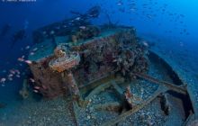 <h1>Nurkowanie Calabria - Włochy, Sycylia</h1>
