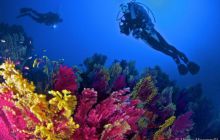 <h1>Nurkowanie Calabria - Włochy, Sycylia</h1>
