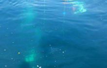 Zdjęcia z wyjazdu wrakowego do Eyemouth w Szkocja