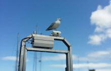 Zdjęcia z wyjazdu wrakowego do Eyemouth w Szkocja