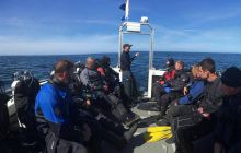 Zdjęcia z wyjazdu wrakowego do Eyemouth w Szkocja