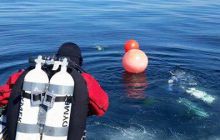 Zdjęcia z wyjazdu wrakowego do Eyemouth w Szkocja