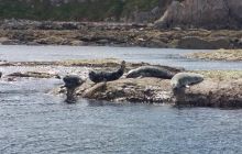 Zdjęcia z wyjazdu wrakowego do Eyemouth w Szkocja