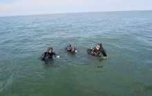 Zdjęcia z nurkowań w rejonie Zatoki Gdańskiej 