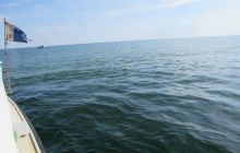 Zdjęcia z nurkowań w rejonie Zatoki Gdańskiej 