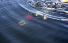 Zdjęcia z 20 urodzin Centrum Nurkowego Tryton