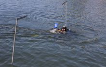 Zdjęcia z 20 urodzin Centrum Nurkowego Tryton