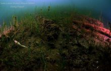 Wyjazd nad jezioro Łęsk w Kulce