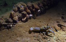 Wyjazd nad jezioro Łęsk w Kulce