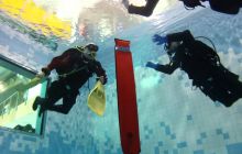 Zajęcia basenowe w Kościerzynie