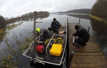 W POSZUKIWANIU ZŁOTEGO POCIĄGU