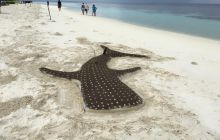 Zdjęcia z wyjazdu nurkowego na Malediwy