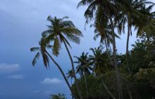 Zdjęcia z wyjazdu nurkowego na Malediwy