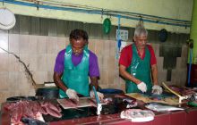 Zdjęcia z wyjazdu nurkowego na Malediwy