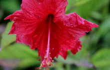 Zdjęcia z wyjazdu nurkowego na Malediwy