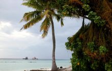 Zdjęcia z wyjazdu nurkowego na Malediwy