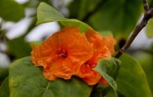 Zdjęcia z wyjazdu nurkowego na Malediwy