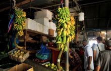 Zdjęcia z wyjazdu nurkowego na Malediwy