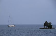 Zdjęcia z wyjazdu nurkowego na Malediwy