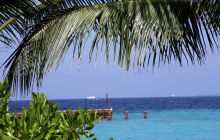 Zdjęcia z wyjazdu nurkowego na Malediwy