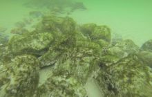 Nurkowanie na Wraku Bryza