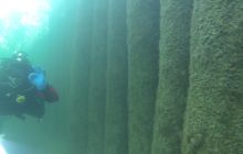 Nurkowanie pod Molem w Sopocie