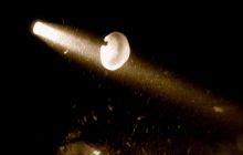 Nurkowanie nocne obok mola w Mechelinkach