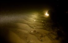 Nurkowanie nocne obok mola w Mechelinkach