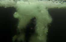 Zdjęcia z Molo w Sopocie 20 XII 2015