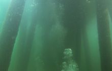 Zdjęcia z Molo w Sopocie 20 XII 2015