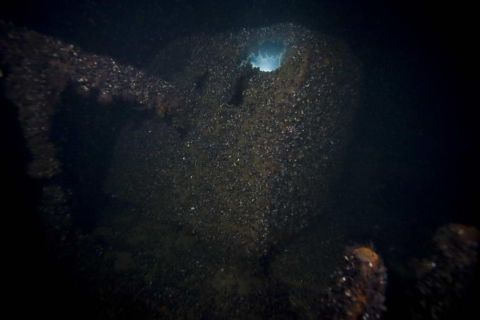 Nurkowanie wrakowe Trałowiec/Kuter Jastarnia