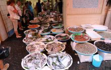 Zdjęcia z wyjazdu Pod Żaglami NEAPOL