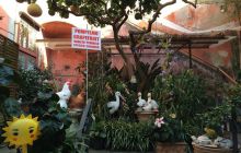 Zdjęcia z wyjazdu Pod Żaglami NEAPOL