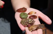 Zdjęcia z wyjazdu Pod Żaglami NEAPOL