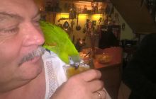 Zdjęcia z Sylwestera - Dębki 2015