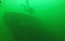 Bryza z brzegu 9 sty 2016