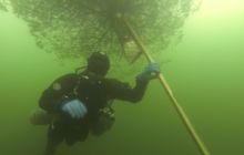 Zdjęcia z zatopienia Choinki