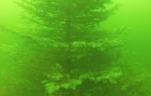 Zdjęcia z zatopienia Choinki