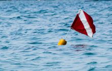 Szkolenie Poszukiwania i Wydobywania przedmiotów podowdnych