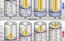Zaawansowane szkolenie wiedzy nurkowej