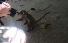 Zdjęcia z wyjazdu do Meksyku