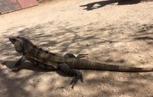 Zdjęcia z wyjazdu do Meksyku