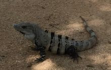 Zdjęcia z wyjazdu do Meksyku