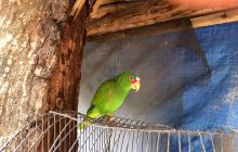 Zdjęcia z wyjazdu do Meksyku