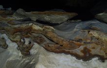 Zdjęcia z wyjazdu do Meksyku