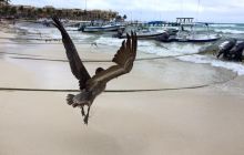 Zdjęcia z wyjazdu do Meksyku