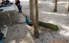 Zdjęcia z wyjazdu do Meksyku